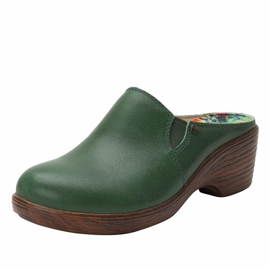 Alegria Sereniti Aged Jade Women's Nursing Shoes Flowers | ZTEUDC430